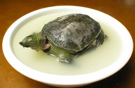 ~ĠIBrֵ,~