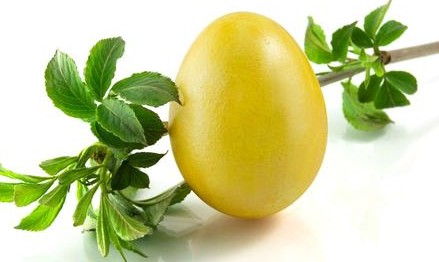 uƲŸۻ