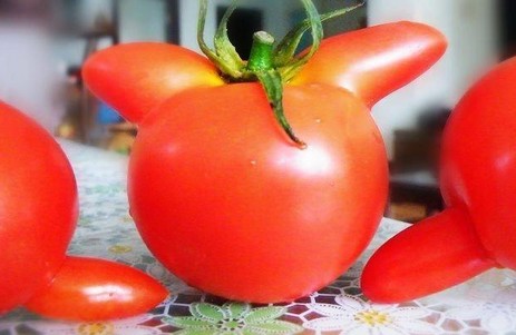׃|׃ķѲ