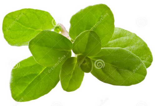 īmğЧc1