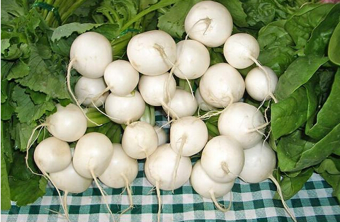 ʏݼğЧc5