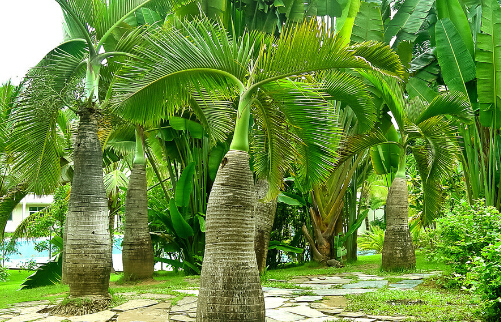 ؙ͵ğЧc1
