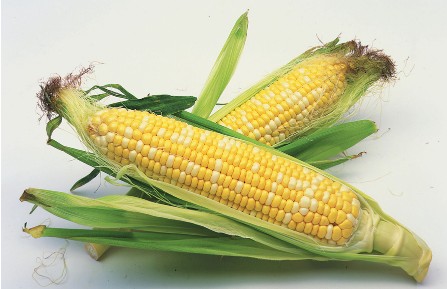 r׶潡