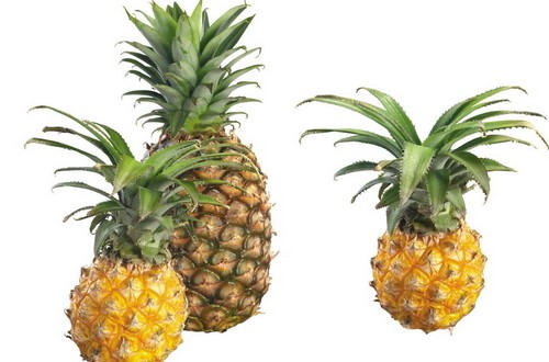 Բ}ĺ̎,С}Ч