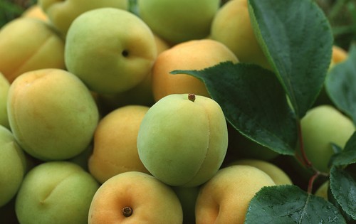 ׷NٳԵˮ