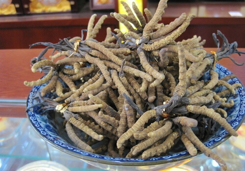 xĲݵĹЧcüʳ÷,xĲô