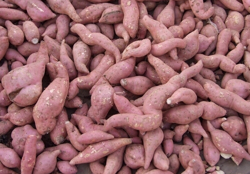 عϵĠIB(yng)rֵ,عϵ