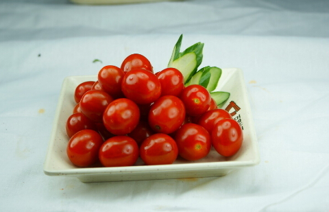 ʥŮĹЧc