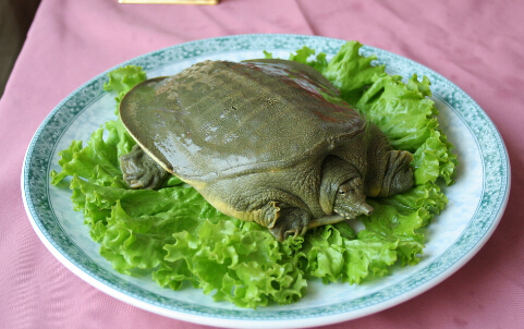 ~aļƷ
