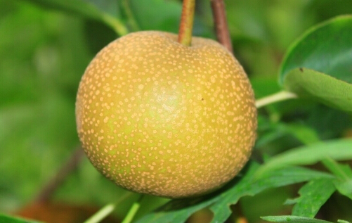 ğЧc4