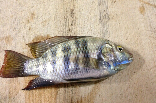̫~ğЧc5