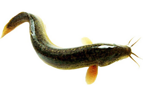 qğЧc2