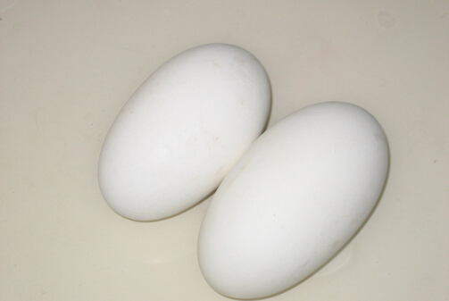 ZğЧc1