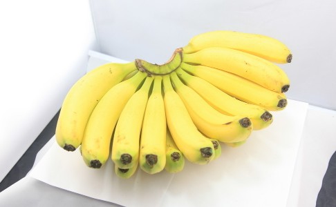 㽶ʹ˿옷