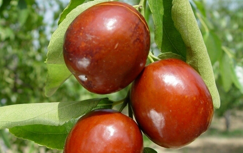 ӵĹЧc,ӵĠIBrֵ